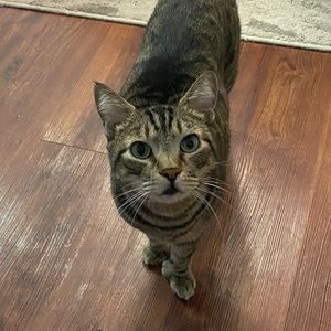 Meet your Posher, Sam